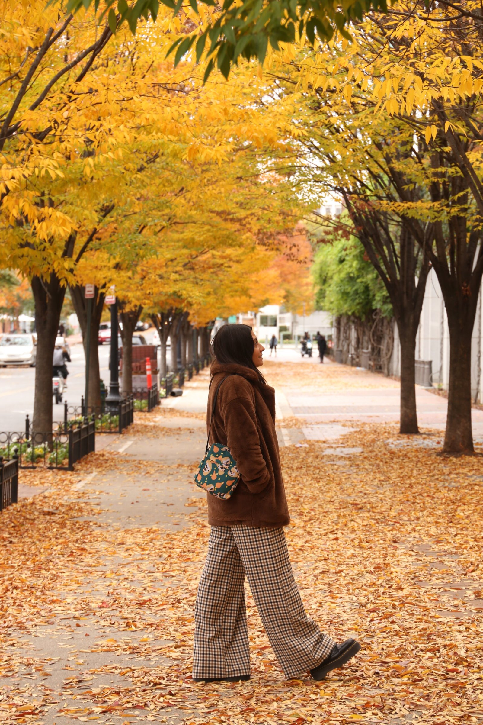 Tiger Crossbody Bag - Image 6