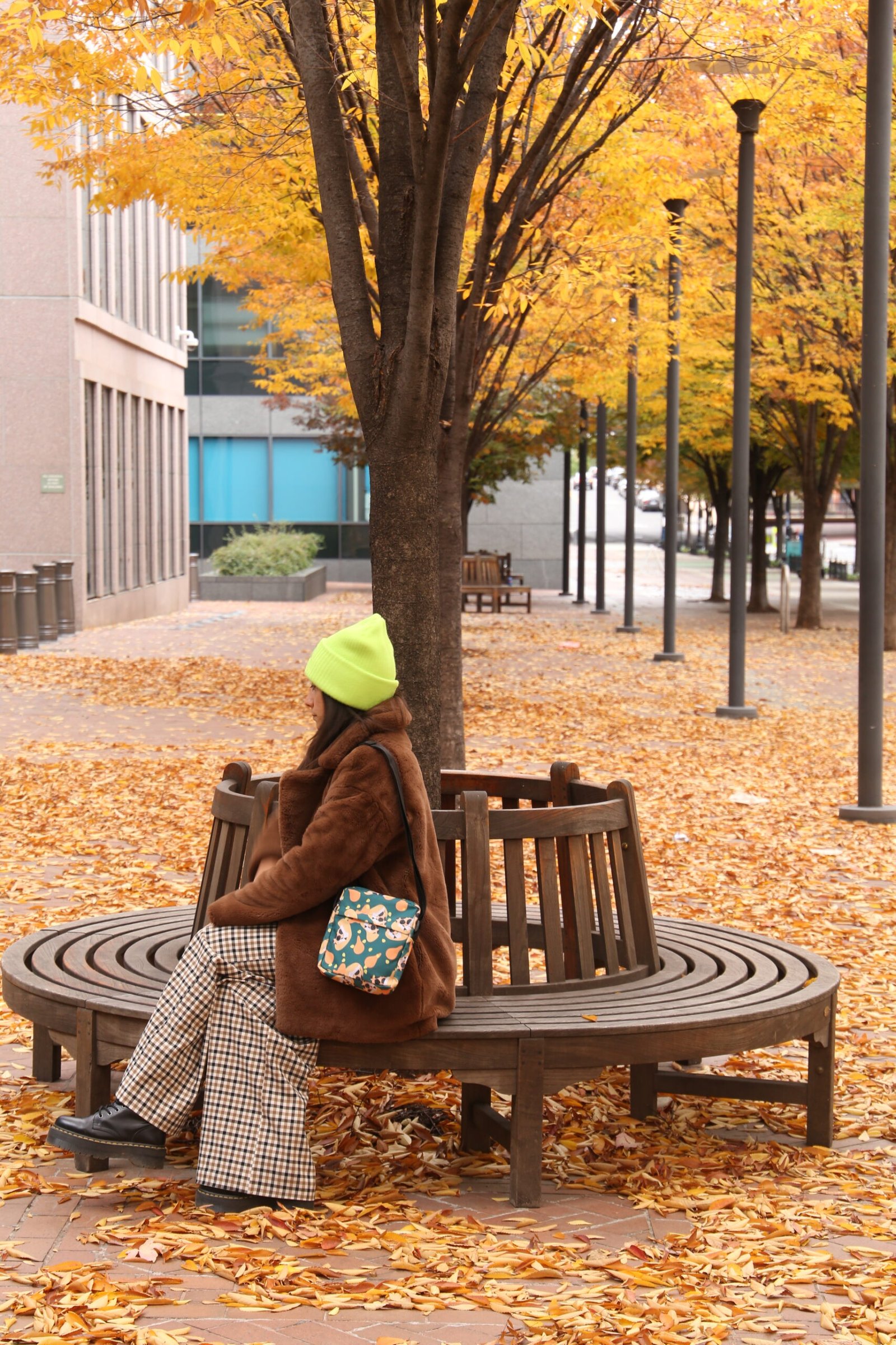 Tiger Crossbody Bag - Image 7